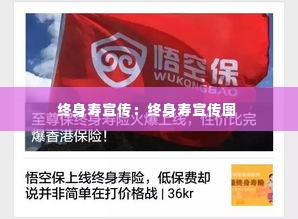 终身寿宣传:终身寿宣传图