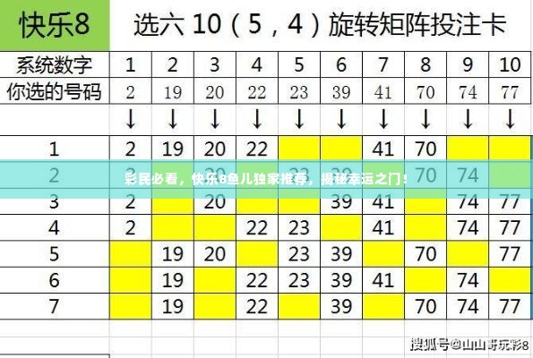 彩民必看，快乐8鱼儿独家推荐，揭秘幸运之门！