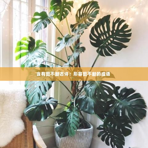 含有剪不断古诗:形容剪不断的成语