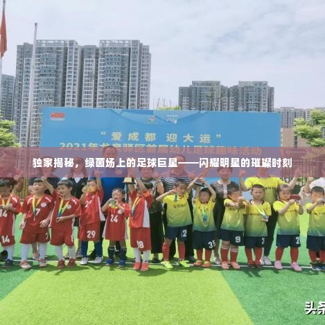 独家揭秘,绿茵场上的足球巨星——闪耀明星的璀璨时刻