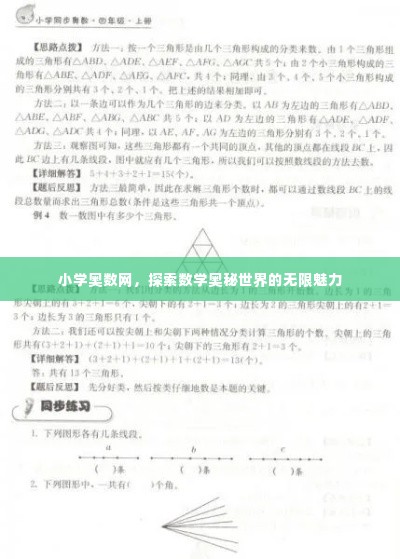 小学奥数网,探索数学奥秘世界的无限魅力
