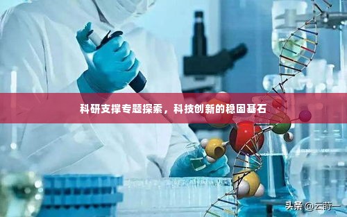 科研支撑专题探索,科技创新的稳固基石