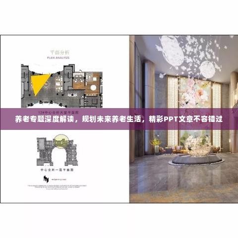 养老专题深度解读,规划未来养老生活,精彩PPT文章不容错过