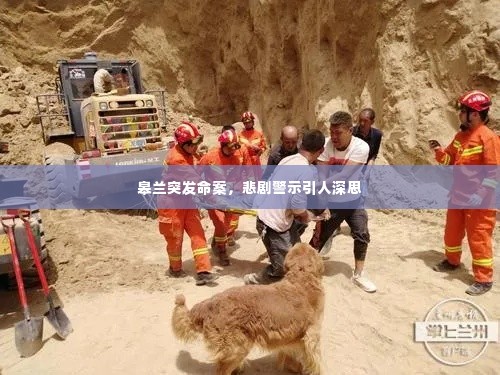 皋兰突发命案，悲剧警示引人深思