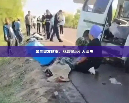皋兰突发命案,悲剧警示引人深思