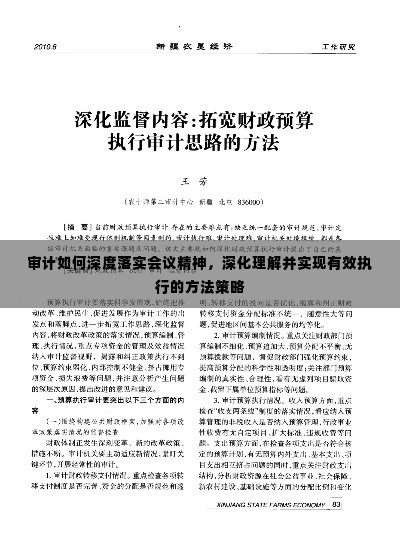 审计如何深度落实会议精神,深化理解并实现有效执行的方法策略