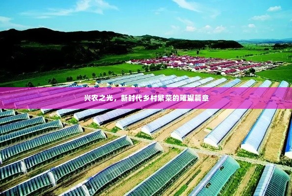 兴农之光，新时代乡村繁荣的璀璨篇章