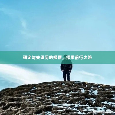 确定与失望间的摇摆,探索前行之路