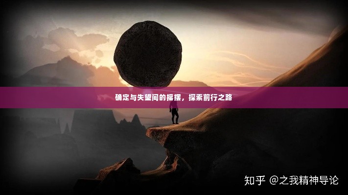 确定与失望间的摇摆,探索前行之路