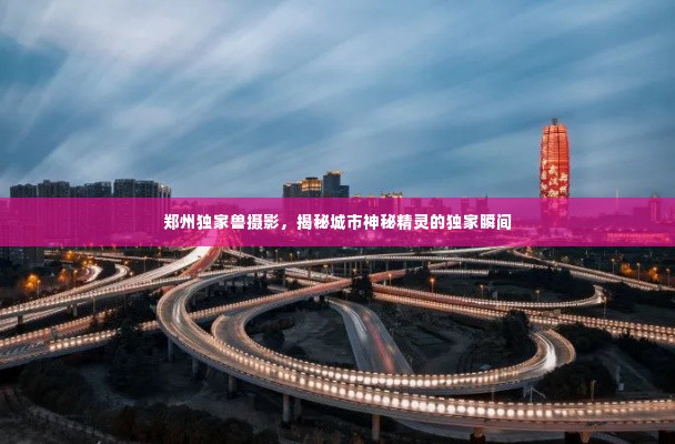 郑州独家兽摄影,揭秘城市神秘精灵的独家瞬间