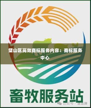 璧山区高效商标服务内容:商标服务中心