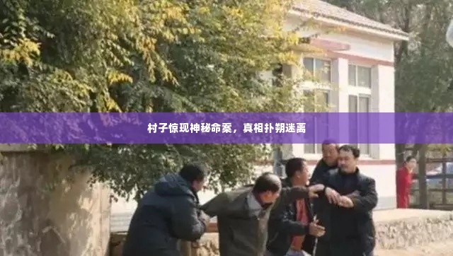 村子惊现神秘命案,真相扑朔迷离