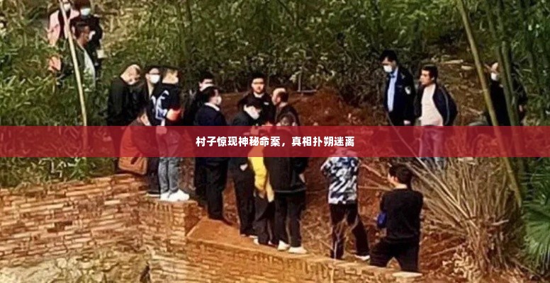 村子惊现神秘命案,真相扑朔迷离