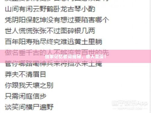 独家记忆歌词揭秘,感人至深!