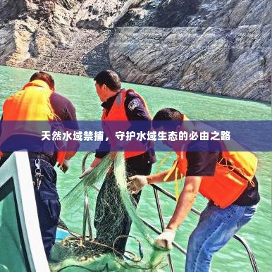 天然水域禁捕,守护水域生态的必由之路