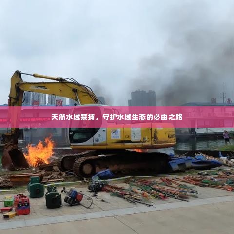 天然水域禁捕,守护水域生态的必由之路