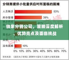 独家分销公司,策略深度解析、优势亮点及面临挑战