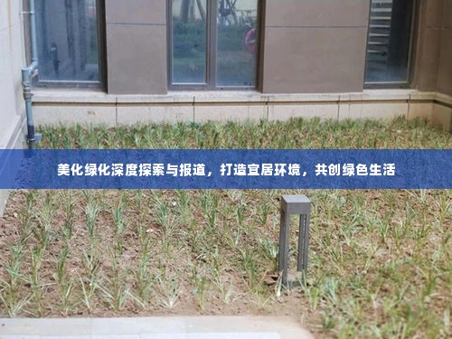 美化绿化深度探索与报道,打造宜居环境,共创绿色生活