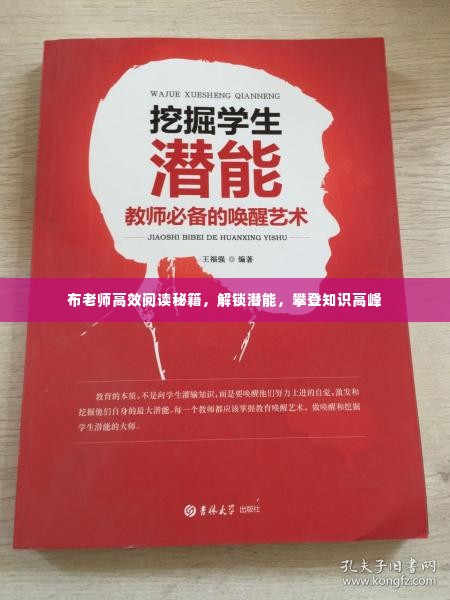 布老师高效阅读秘籍,解锁潜能,攀登知识高峰