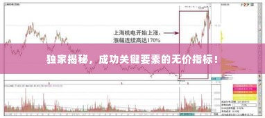 独家揭秘，成功关键要素的无价指标！