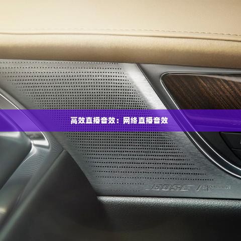 高效直播音效：网络直播音效 