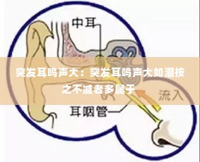 突发耳鸣声大:突发耳鸣声大如潮按之不减者多属于