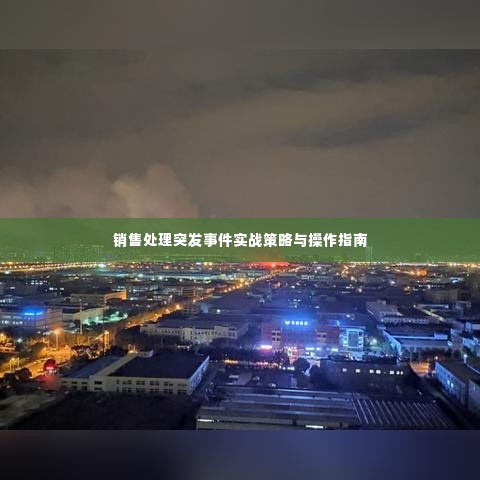销售处理突发事件实战策略与操作指南