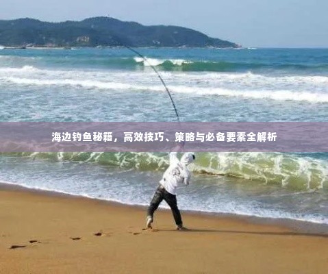 海边钓鱼秘籍,高效技巧、策略与必备要素全解析