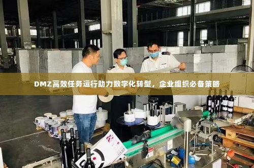DMZ高效任务运行助力数字化转型，企业组织必备策略