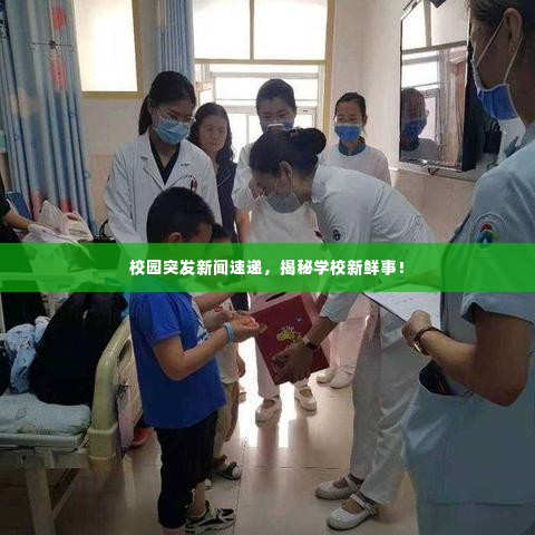 校园突发新闻速递，揭秘学校新鲜事！