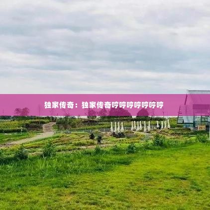 独家传奇：独家传奇哼哼哼哼哼哼哼 