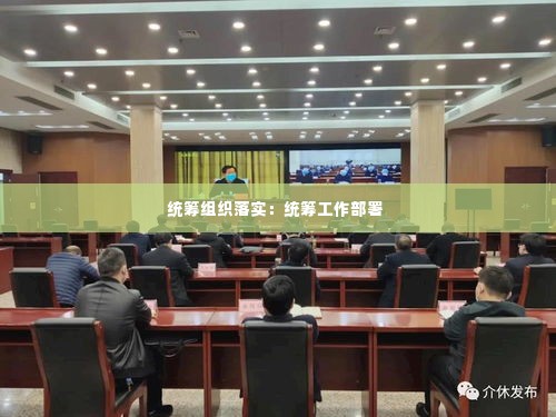 统筹组织落实:统筹工作部署