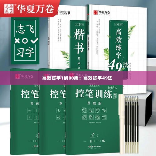 高效练字1到80集：高效练字49法 