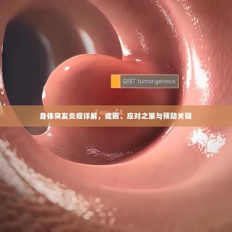 身体突发炎症详解，成因、应对之策与预防关键