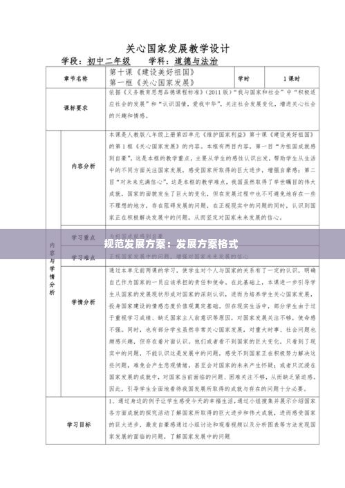 规范发展方案:发展方案格式