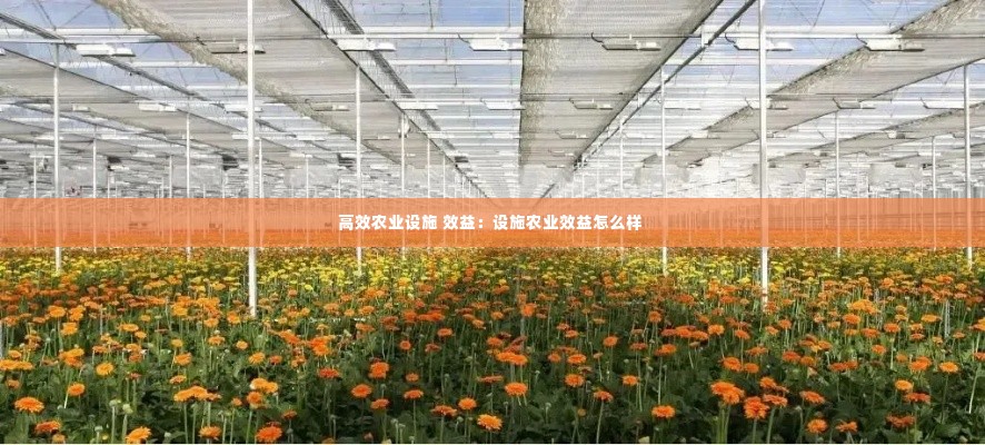 高效农业设施 效益:设施农业效益怎么样