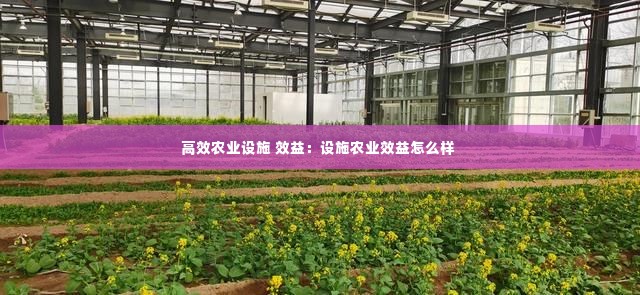 高效农业设施 效益:设施农业效益怎么样