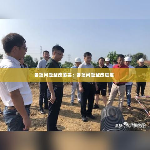 各项问题整改落实：各项问题整改进度 