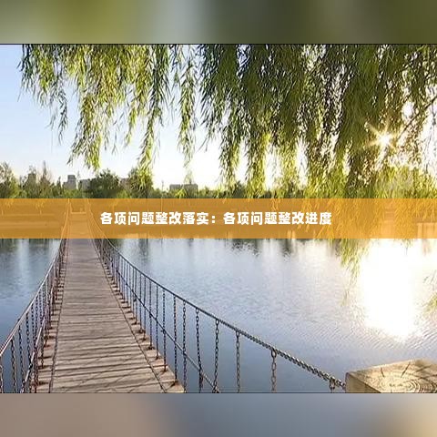 各项问题整改落实:各项问题整改进度
