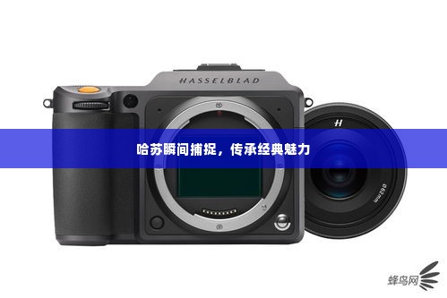 不畏权贵 第4页