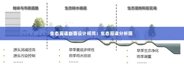 生态廊道断面设计规范:生态廊道分析图