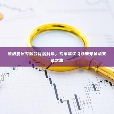 金融发展专题会深度解读,专家建议引领未来金融变革之路