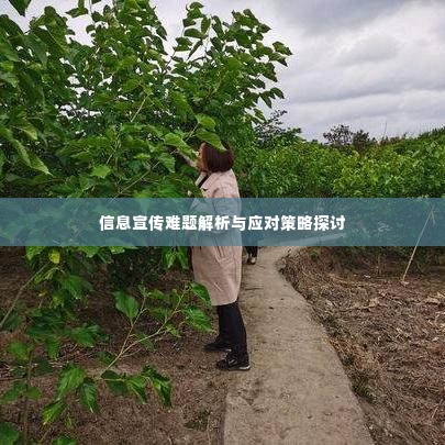 信息宣传难题解析与应对策略探讨
