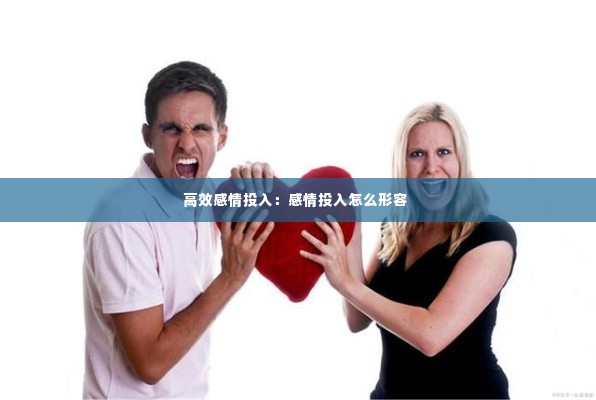 高效感情投入:感情投入怎么形容