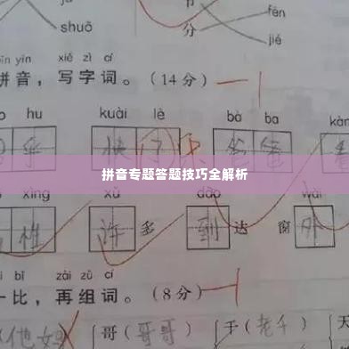 拼音专题答题技巧全解析