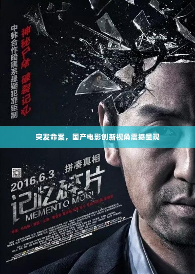 突发命案,国产电影创新视角震撼呈现