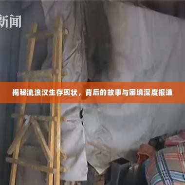 揭秘流浪汉生存现状,背后的故事与困境深度报道