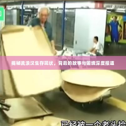 揭秘流浪汉生存现状,背后的故事与困境深度报道