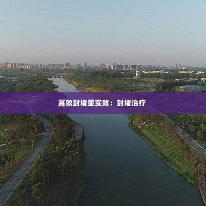 高效封堵显实效:封堵治疗