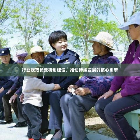 行业规范长效机制建设,推动持续发展的核心引擎